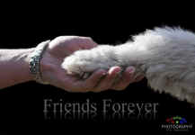 Friends Forever.jpg (76249 bytes)
