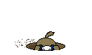 knuckle head