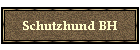 Schutzhund BH