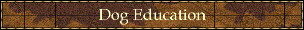 Dog Education